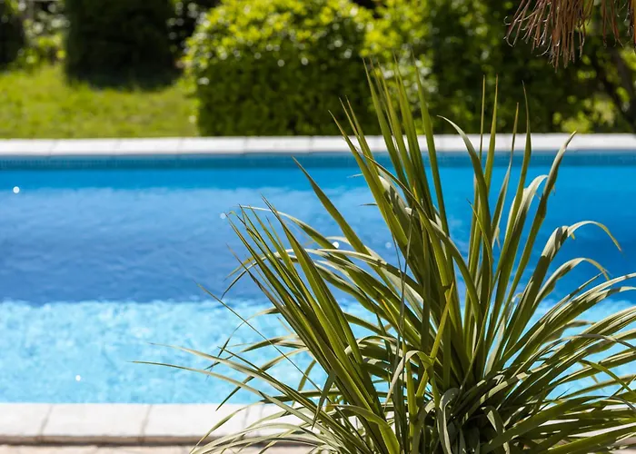 Lejlighed Vida's Place *