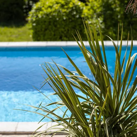 Apartment Vida's Place *